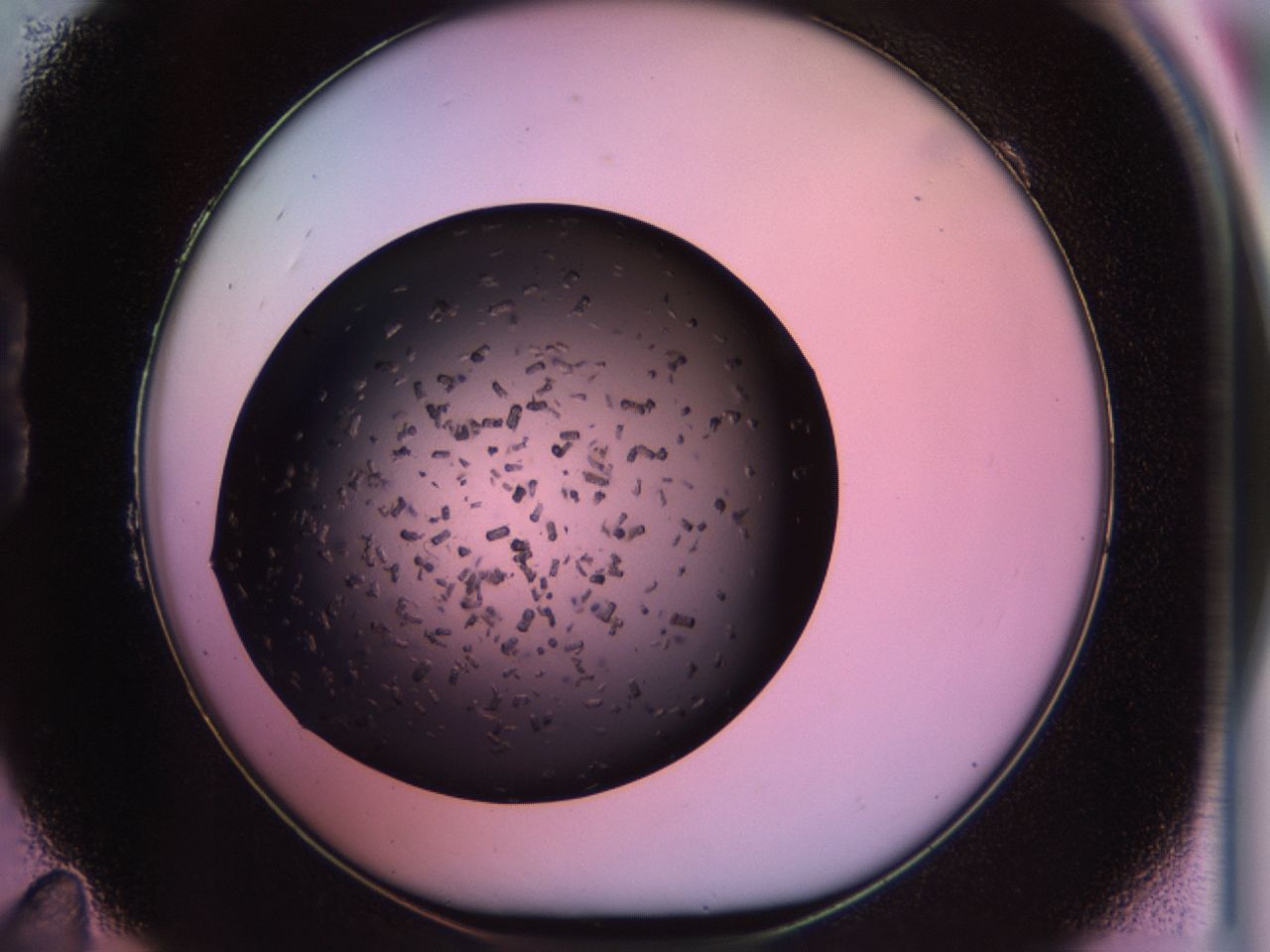 02pu_B11_ImagerDefaults_9.jpg