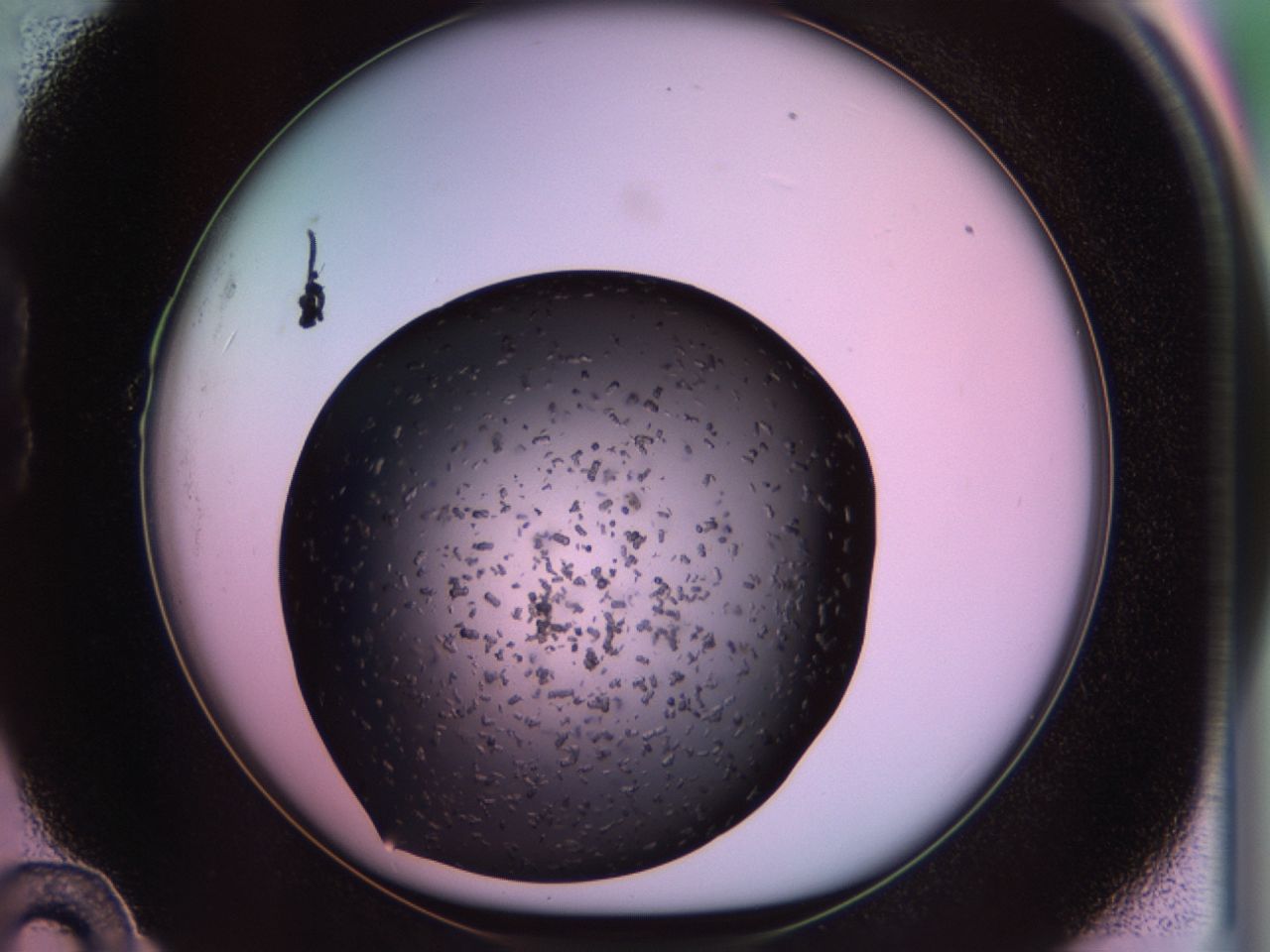 02pu_B10_ImagerDefaults_9.jpg