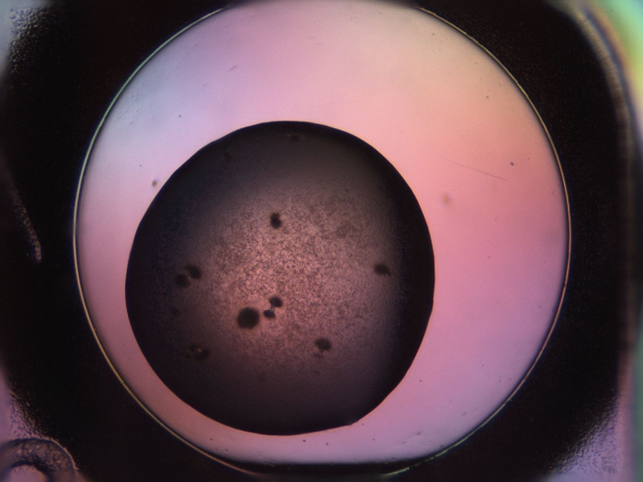 02pu_A12_ImagerDefaults_9.jpg