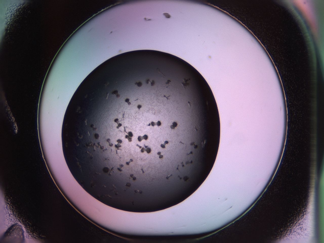 02pu_A11_ImagerDefaults_9.jpg