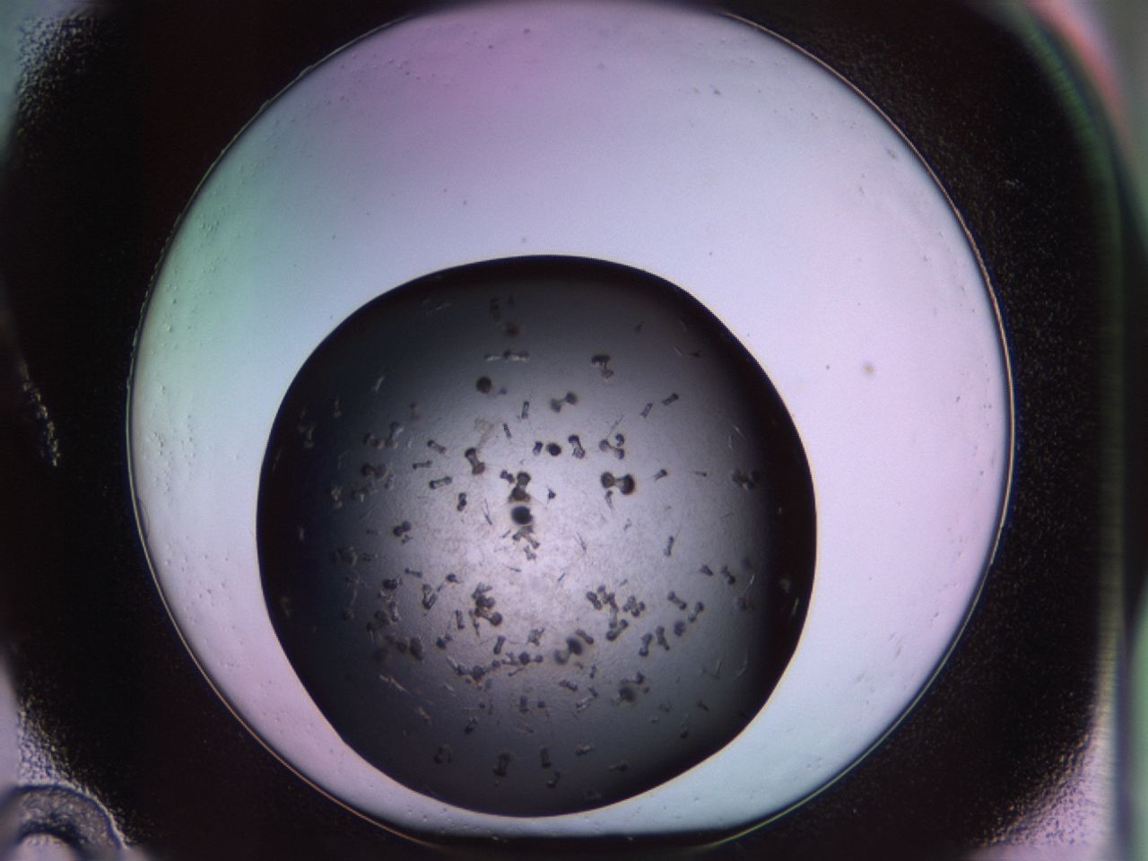 02pu_A10_ImagerDefaults_9.jpg
