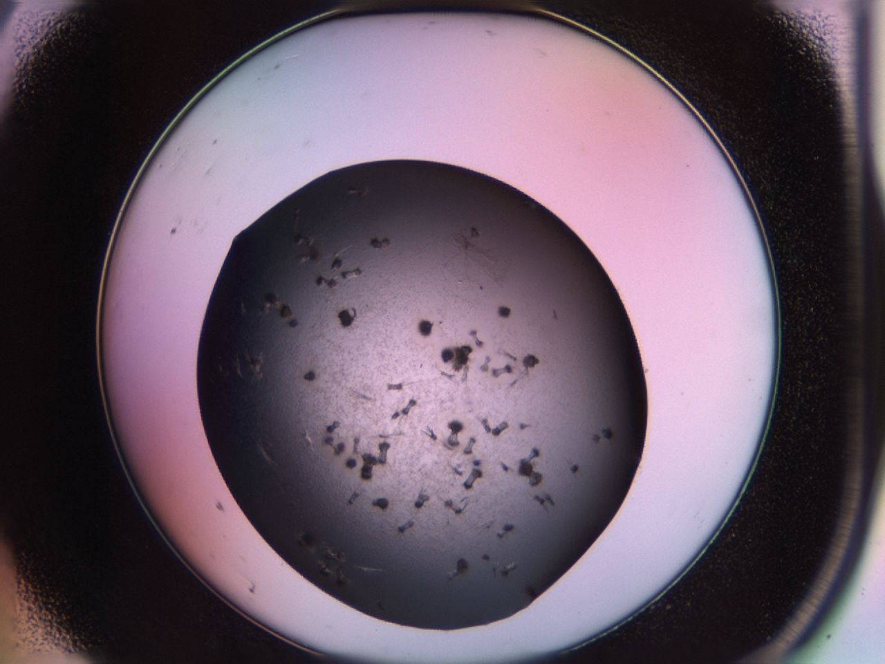 02pu_A9_ImagerDefaults_9.jpg