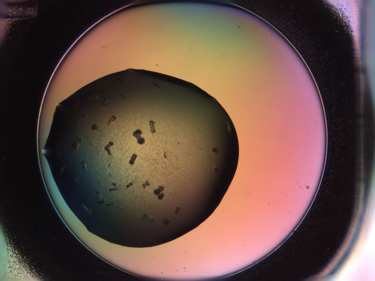 02pu_C12_ImagerDefaults_9.jpg
