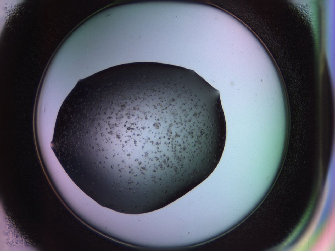 02pu_D7_ImagerDefaults_6.jpg