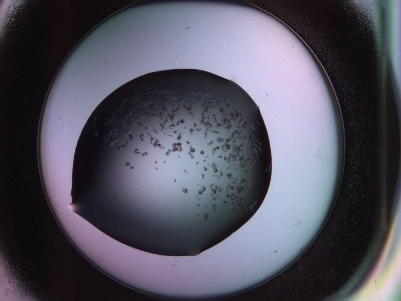 02pu_D8_ImagerDefaults_9.jpg