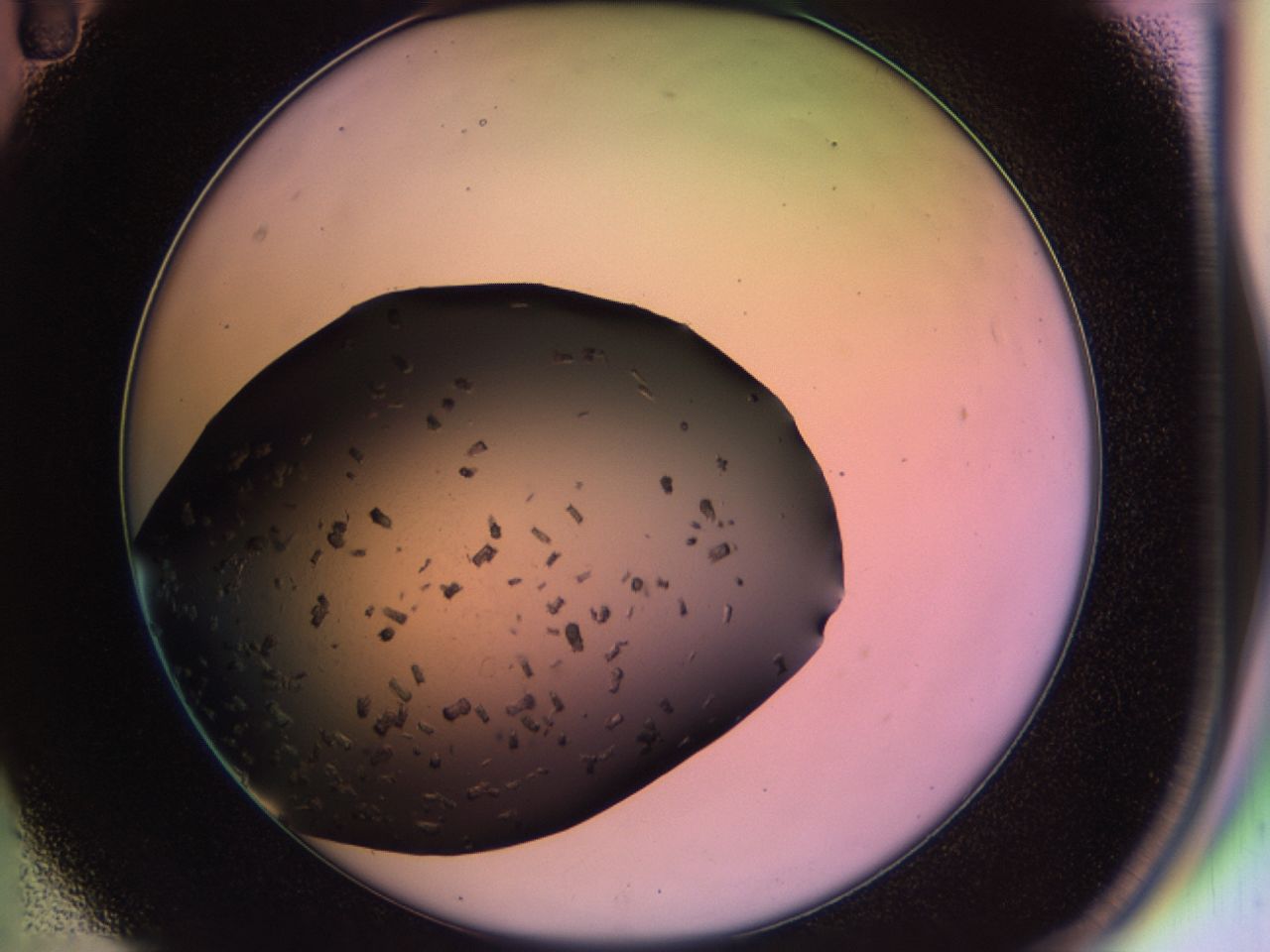 02pu_C11_ImagerDefaults_9.jpg