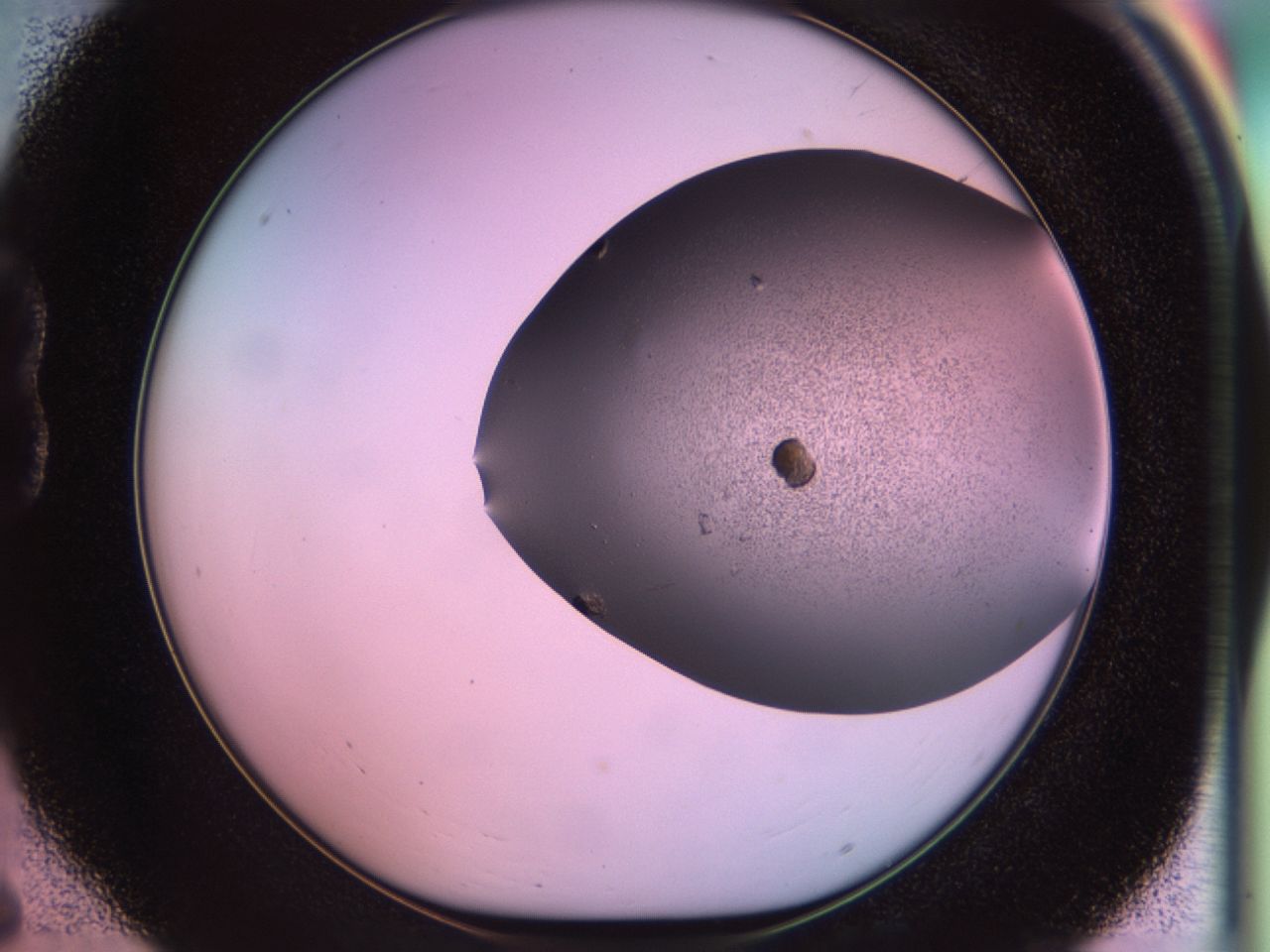 02pv_B6_ImagerDefaults_6.jpg