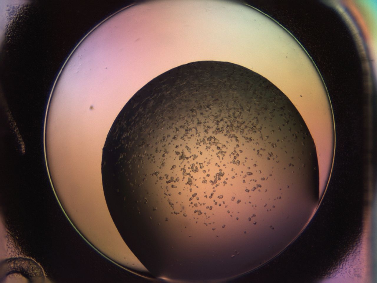 02pv_A12_ImagerDefaults_6.jpg