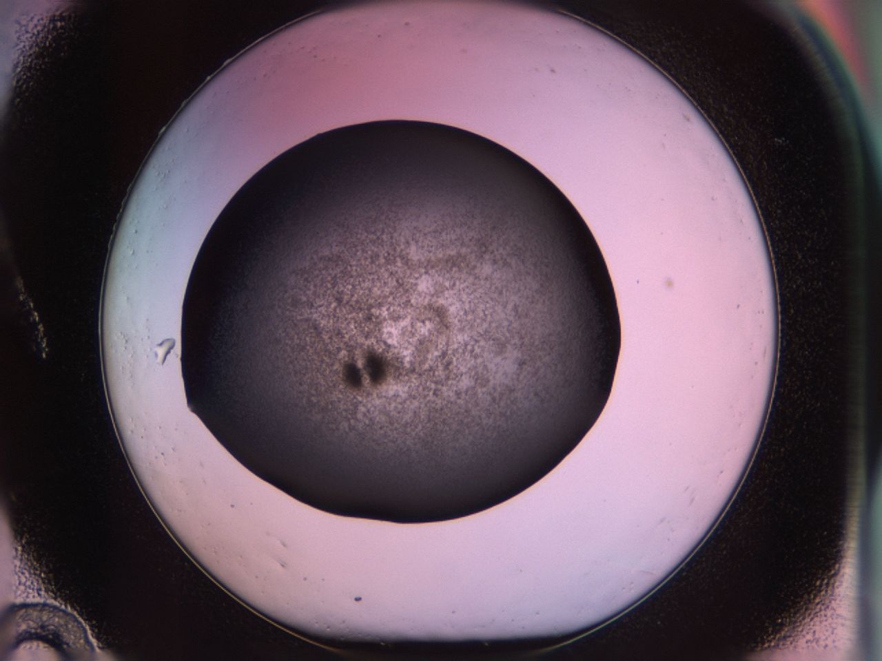 02pv_A10_ImagerDefaults_9.jpg