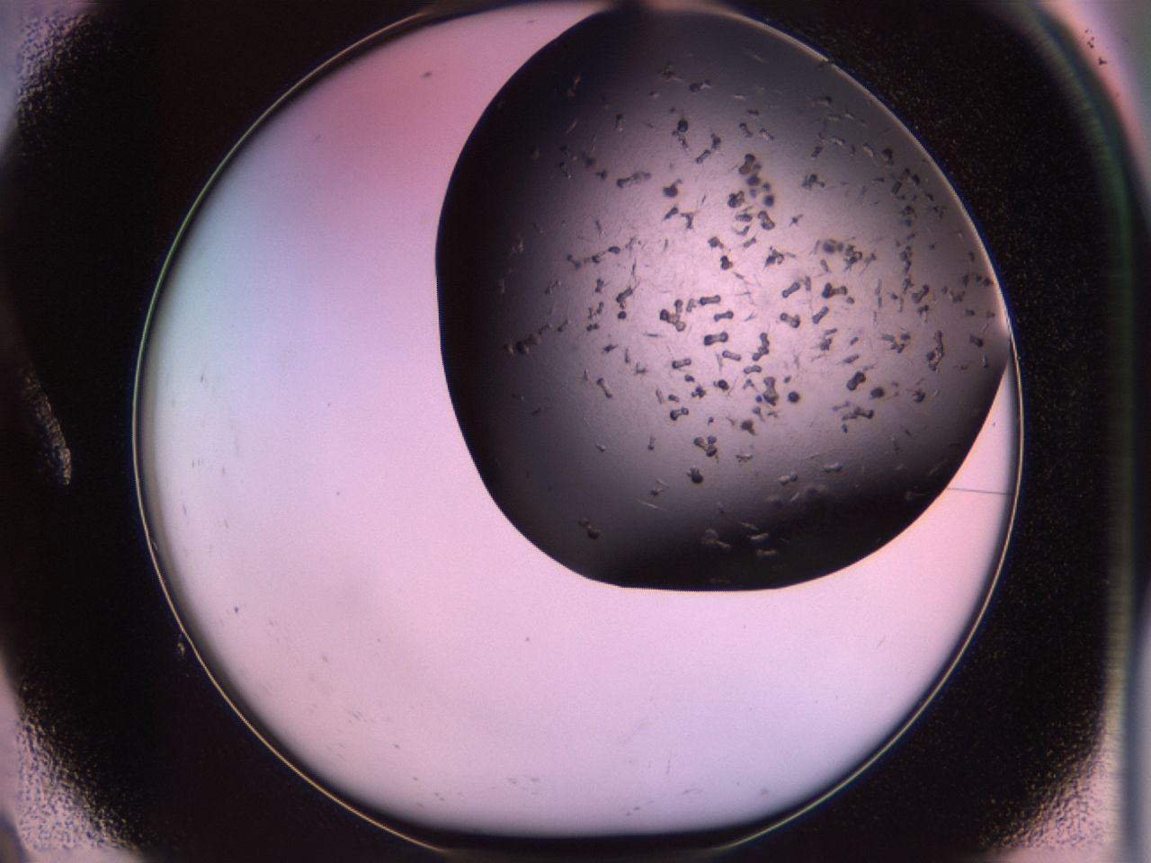 02pv_A9_ImagerDefaults_9.jpg