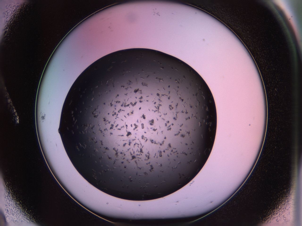 02pv_A8_ImagerDefaults_9.jpg