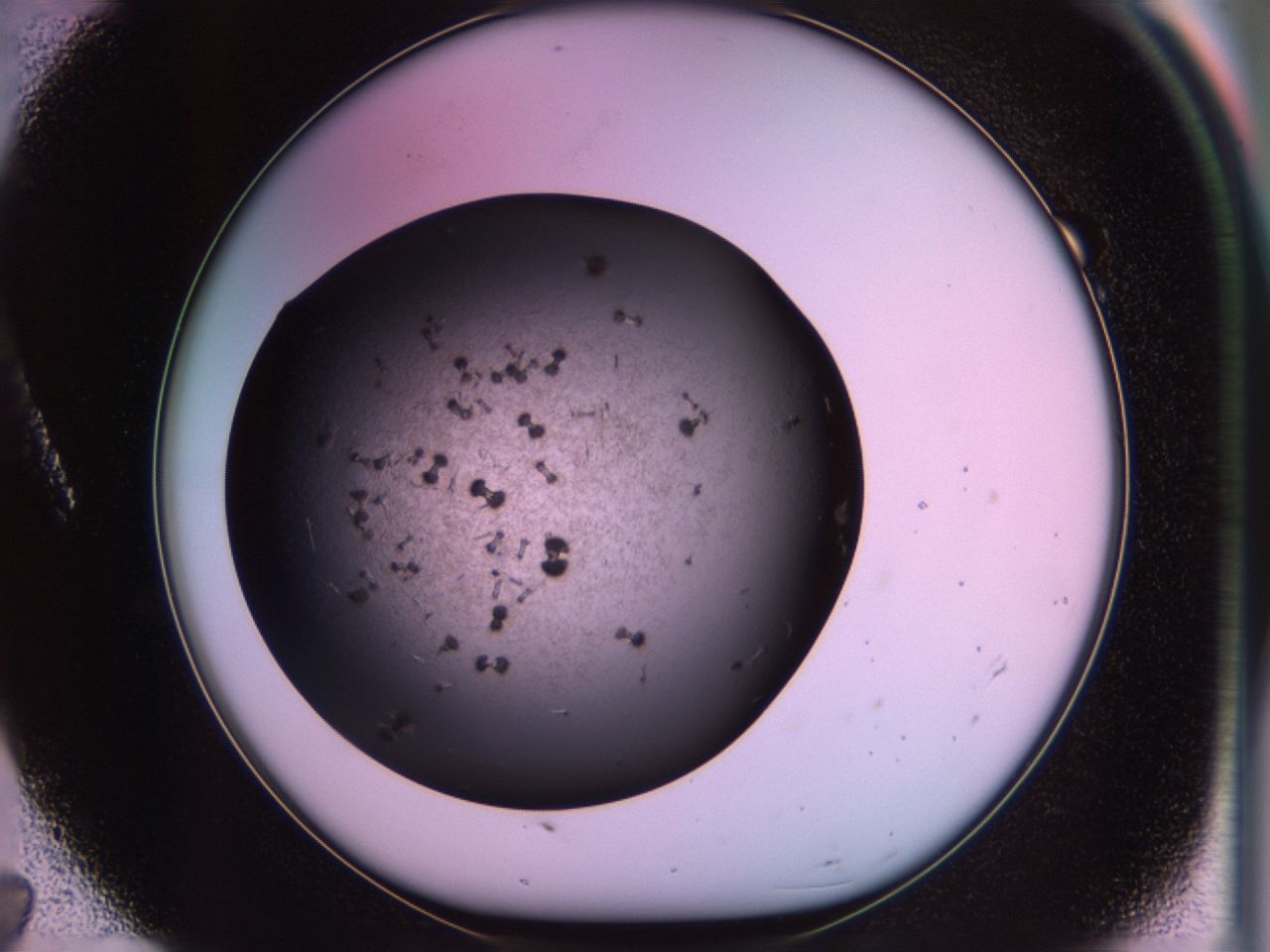 02pv_A7_ImagerDefaults_9.jpg