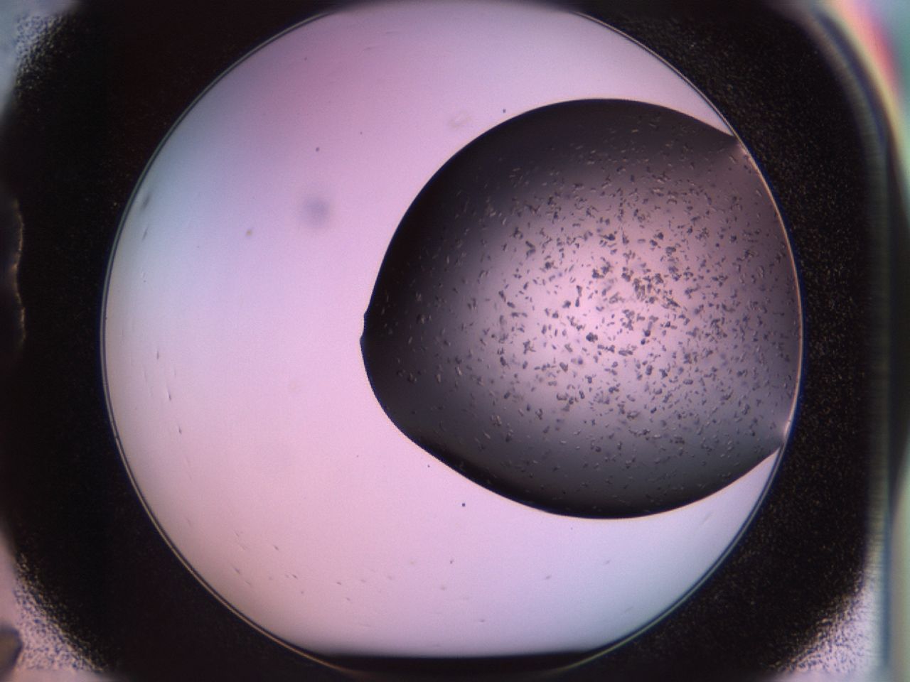 02pv_B7_ImagerDefaults_6.jpg