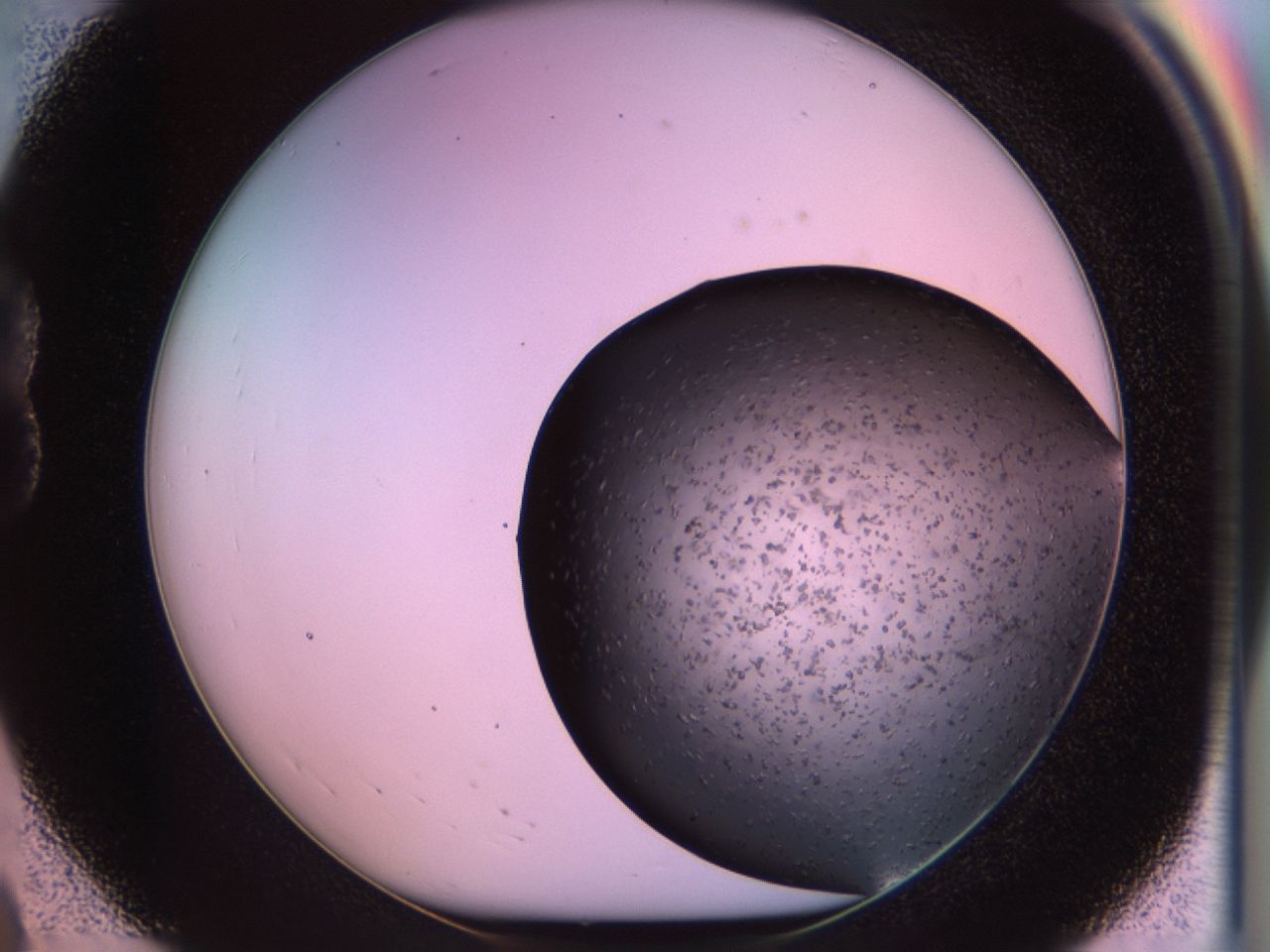 02pv_B8_ImagerDefaults_6.jpg