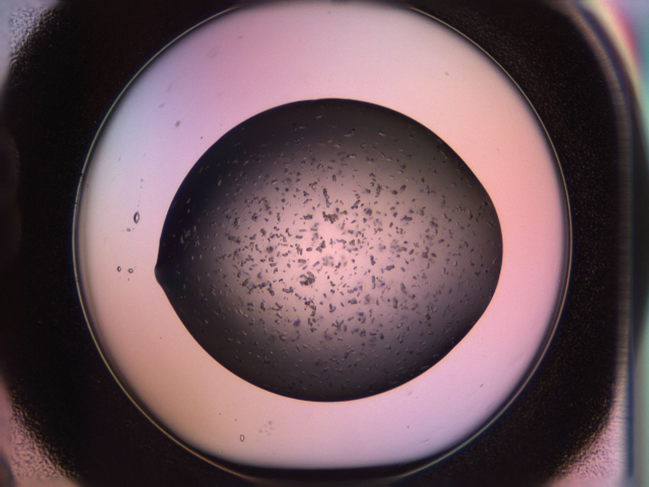 02pv_B9_ImagerDefaults_6.jpg