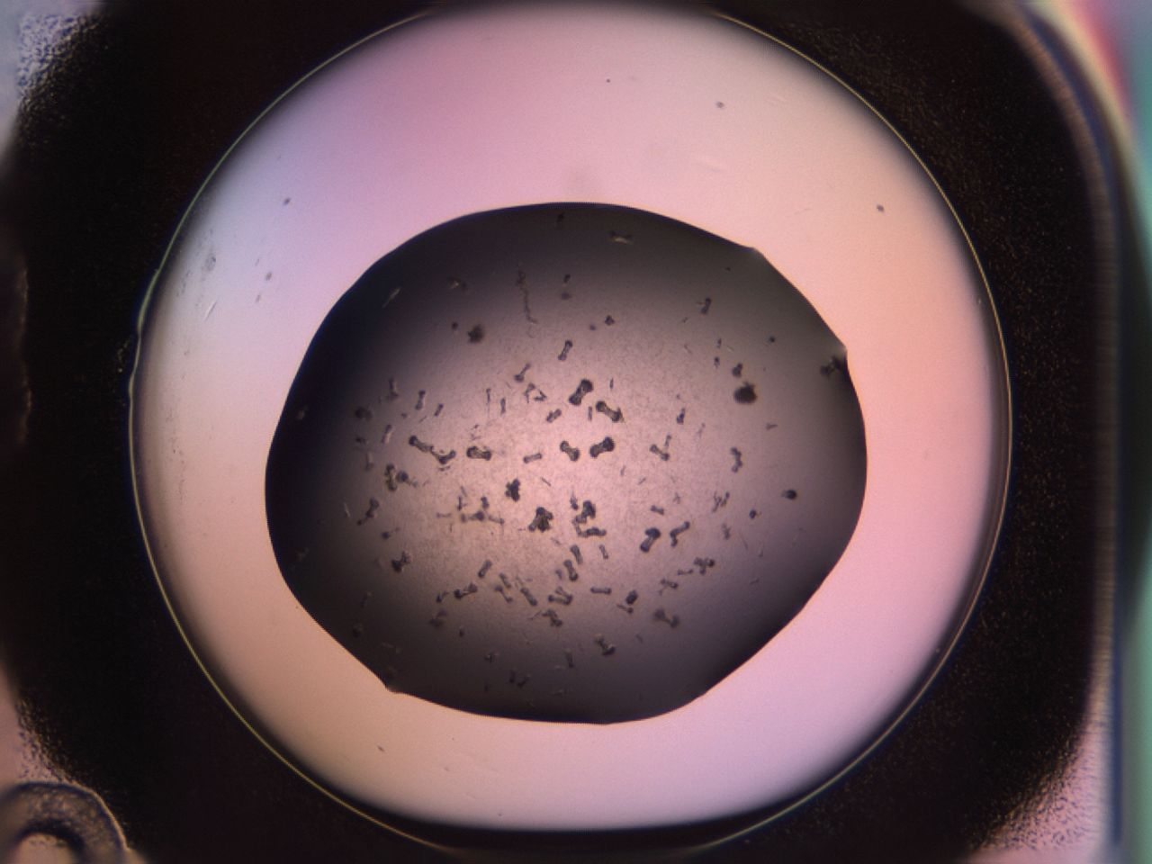 02pv_B10_ImagerDefaults_9.jpg