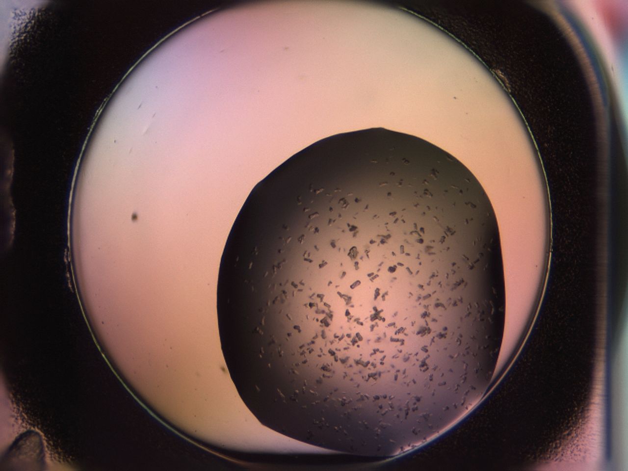 02pv_B11_ImagerDefaults_9.jpg