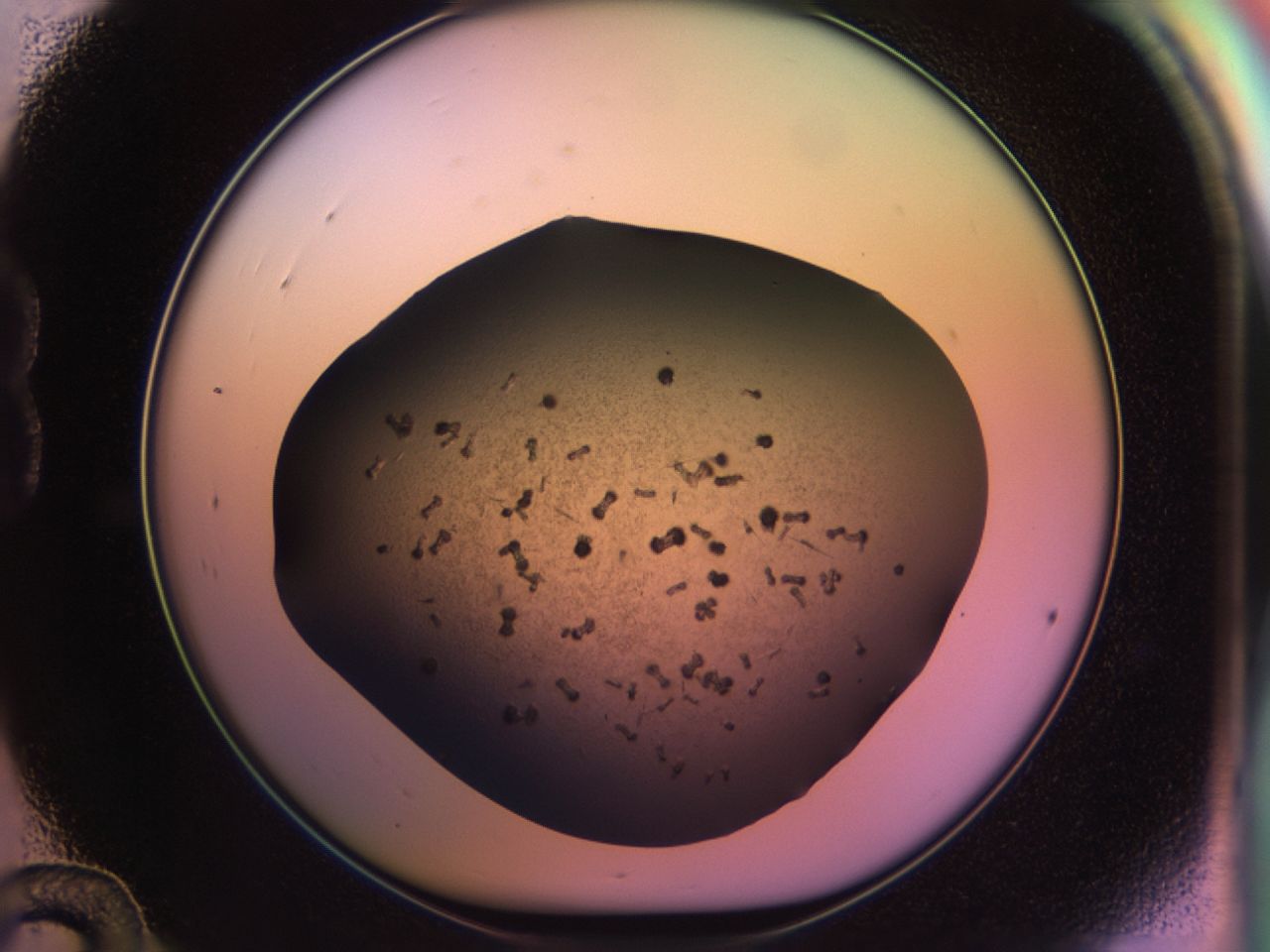 02pv_B12_ImagerDefaults_9.jpg