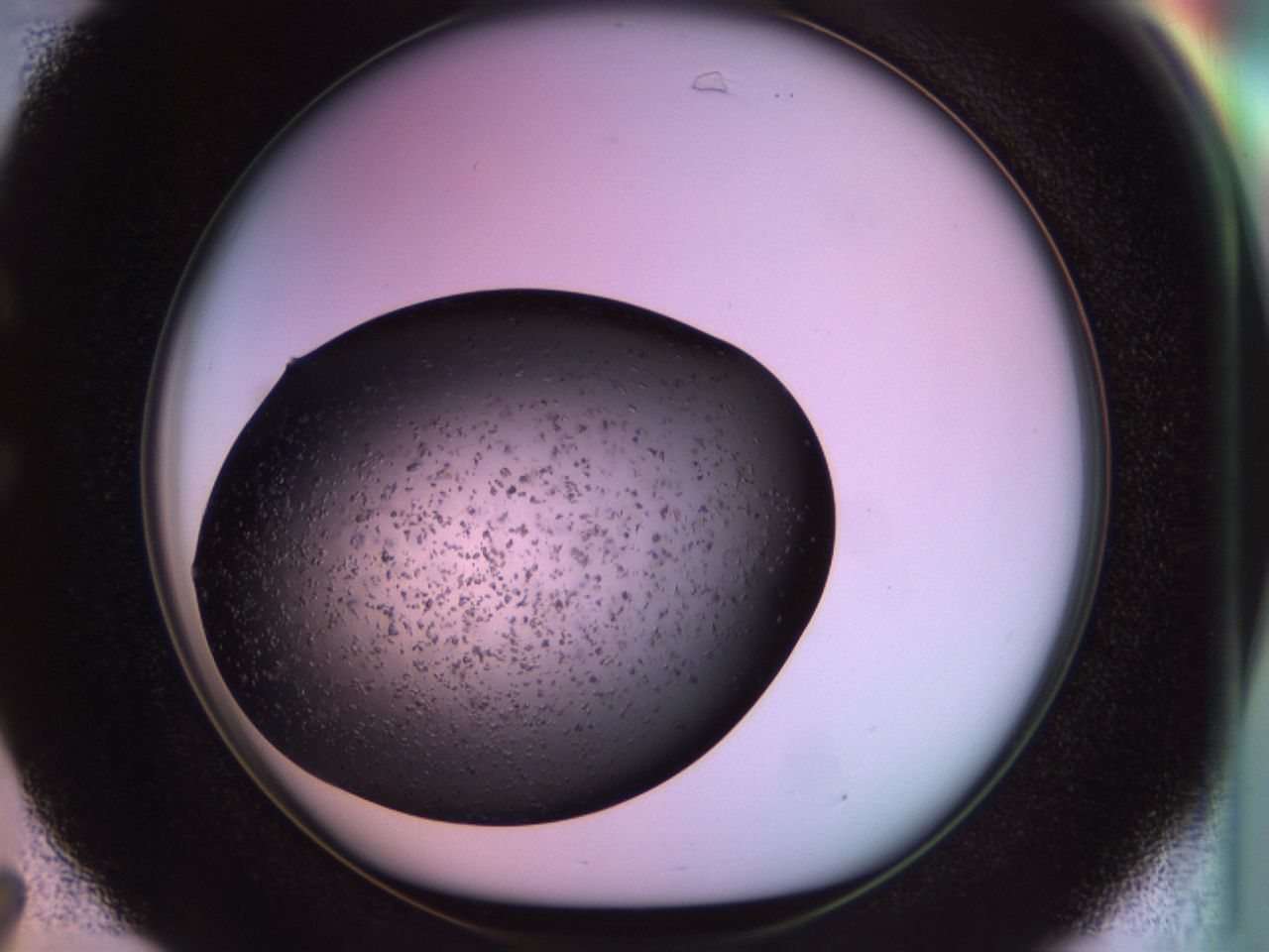 02pv_C7_ImagerDefaults_6.jpg