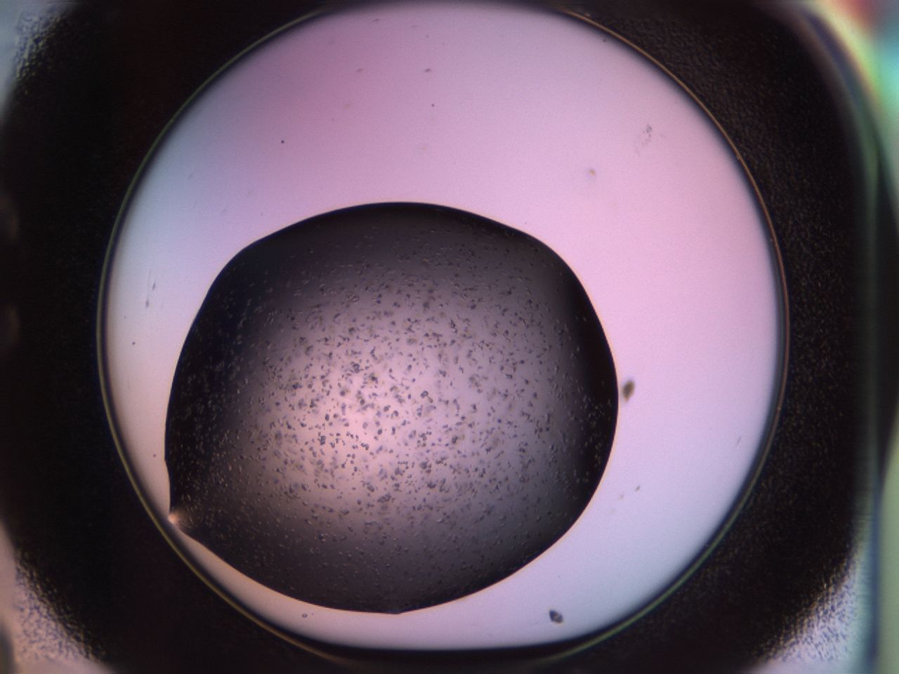 02pv_C8_ImagerDefaults_6.jpg