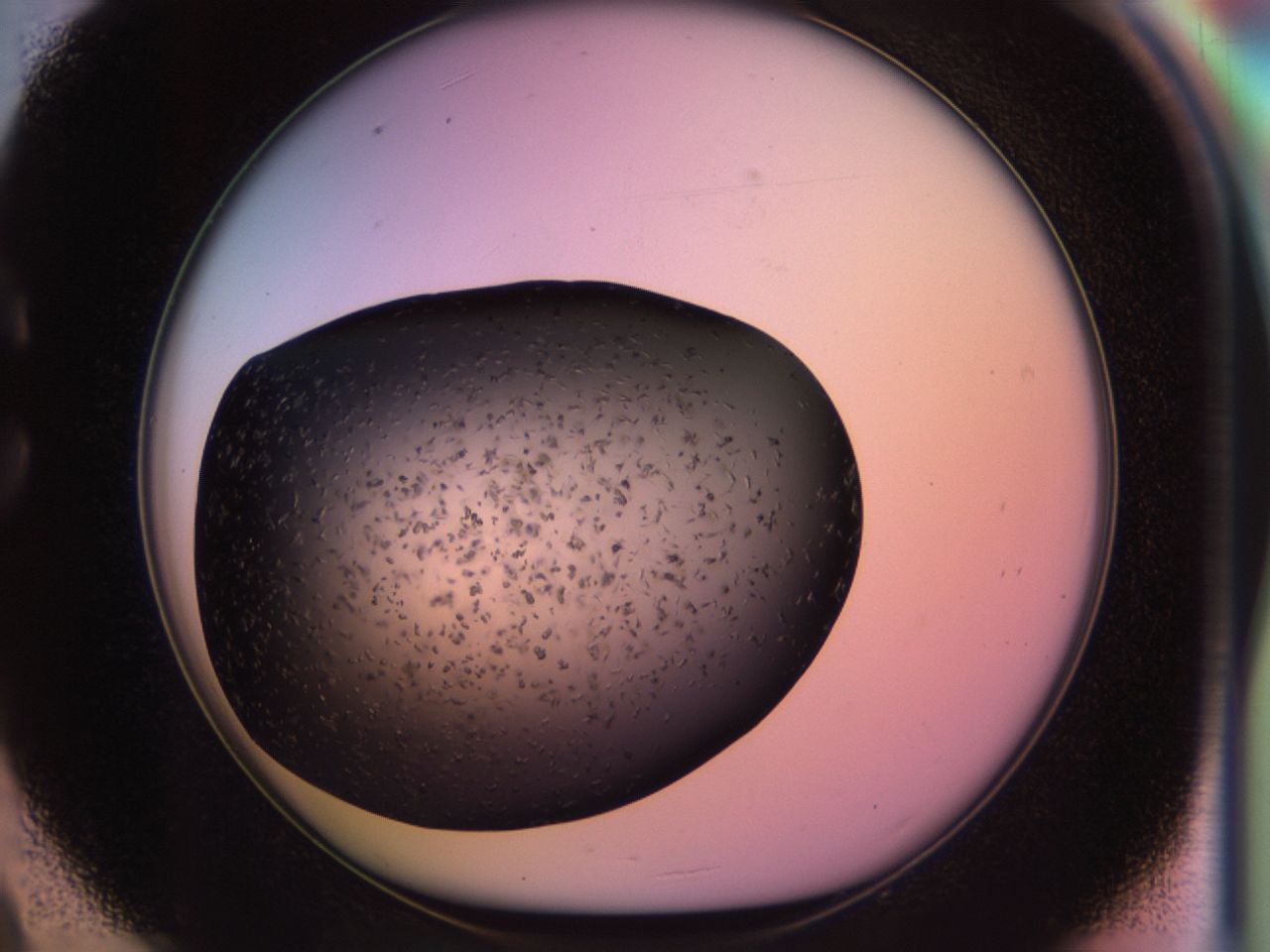 02pv_C9_ImagerDefaults_6.jpg