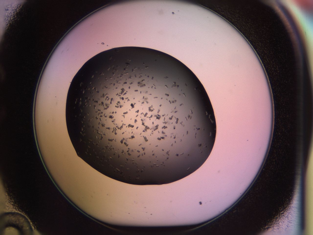 02pv_C10_ImagerDefaults_9.jpg