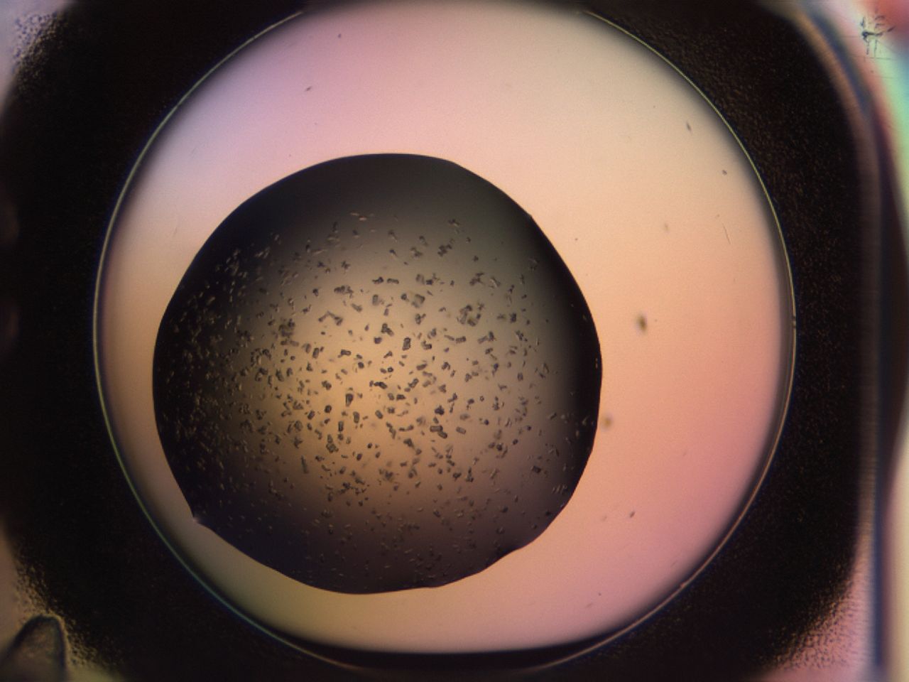 02pv_C11_ImagerDefaults_9.jpg