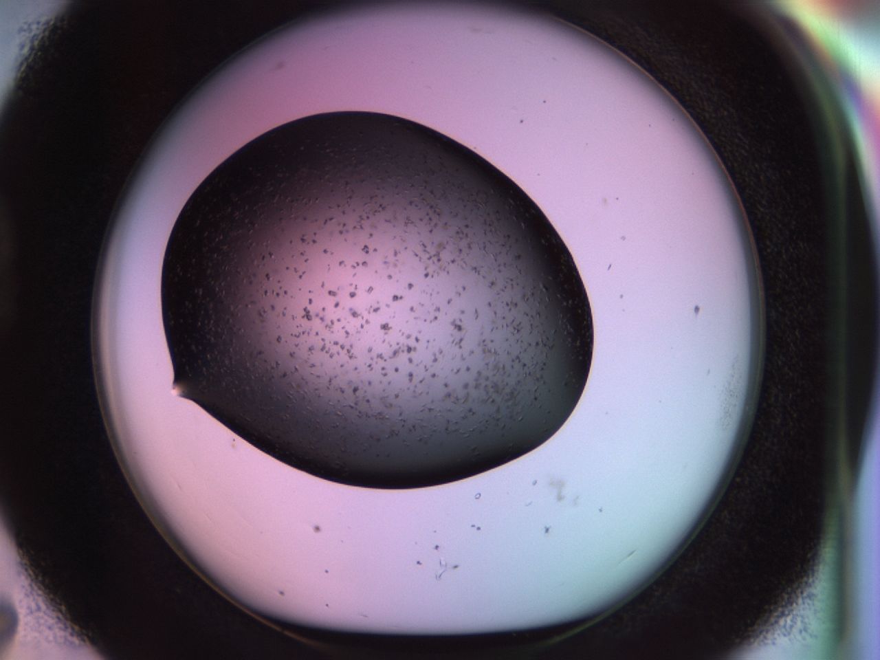 02pv_D7_ImagerDefaults_6.jpg
