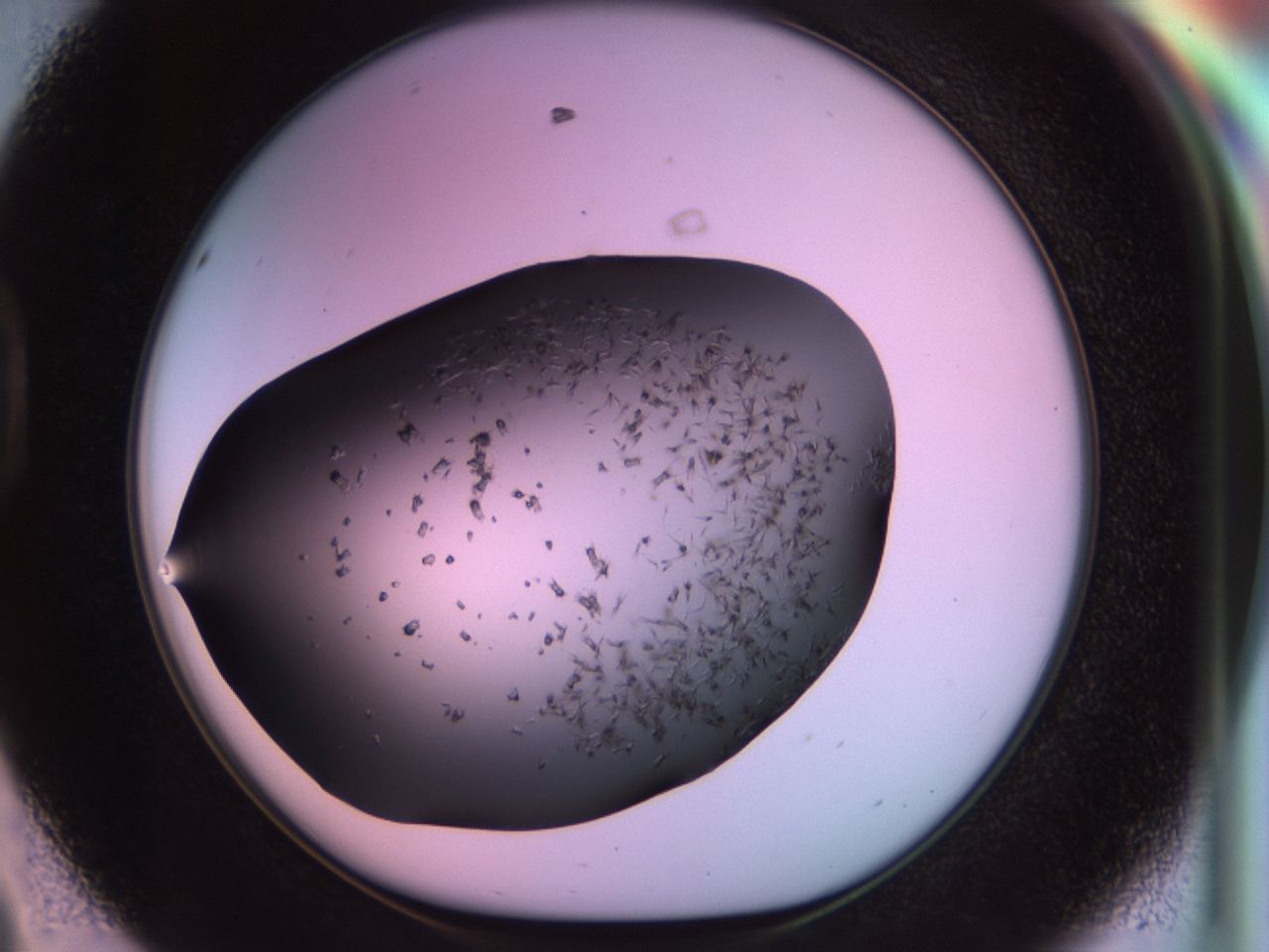 02pv_D8_ImagerDefaults_7.jpg