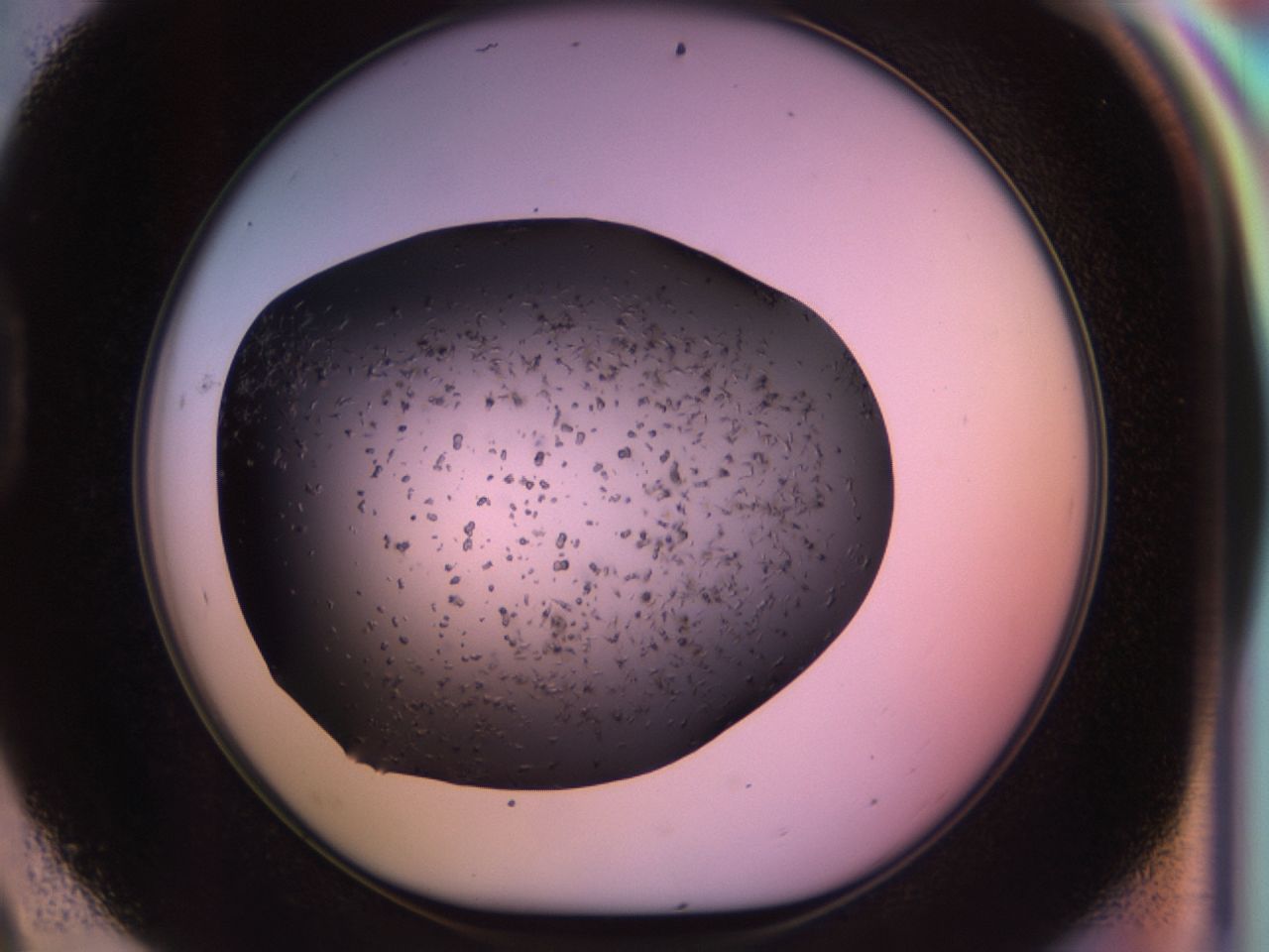 02pv_D9_ImagerDefaults_6.jpg