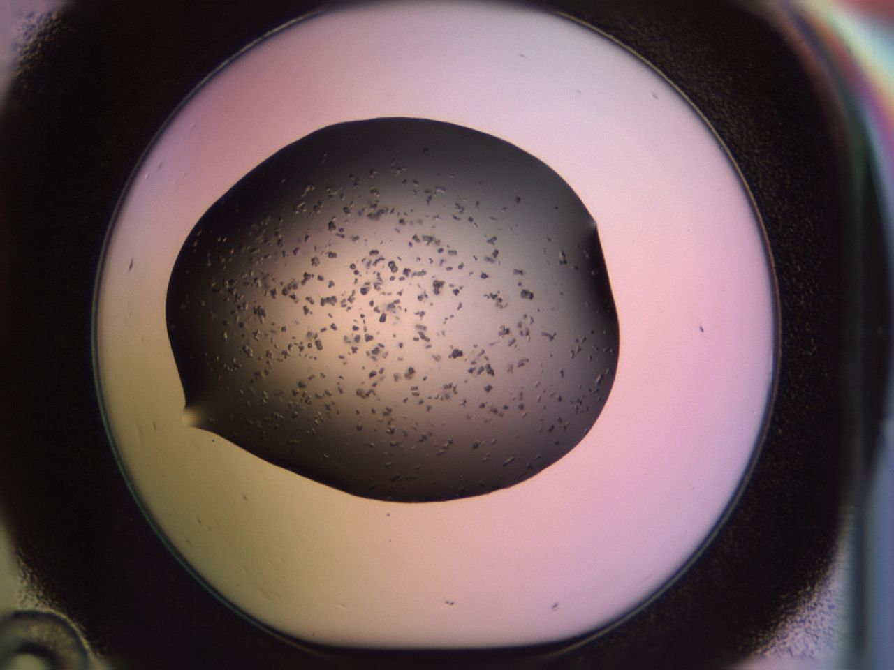 02pv_D10_ImagerDefaults_6.jpg