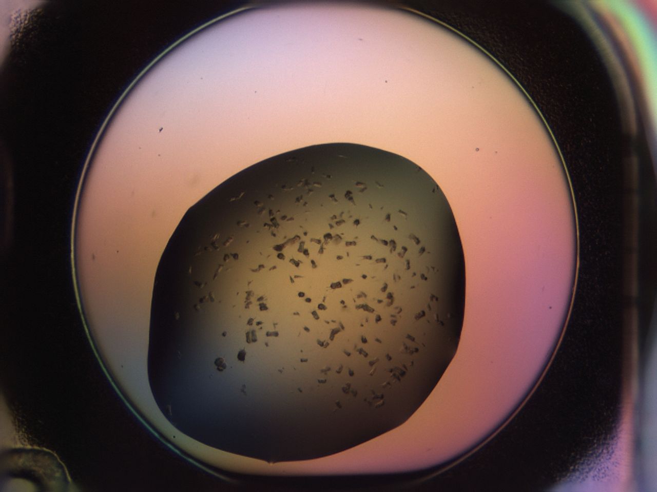 02pv_D12_ImagerDefaults_9.jpg