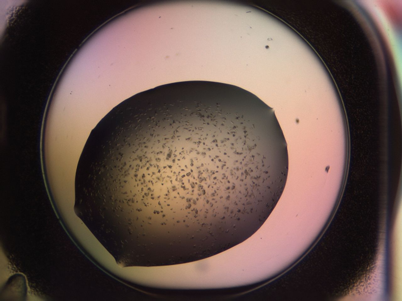 02pv_D11_ImagerDefaults_6.jpg