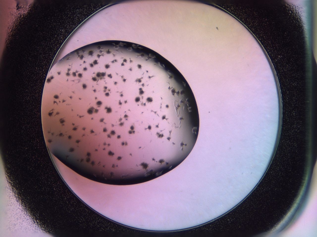 02pw_E11_ImagerDefaults_7.jpg