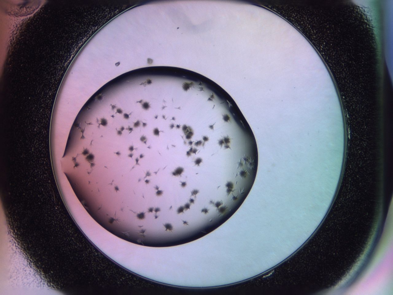 02pw_E10_ImagerDefaults_7.jpg