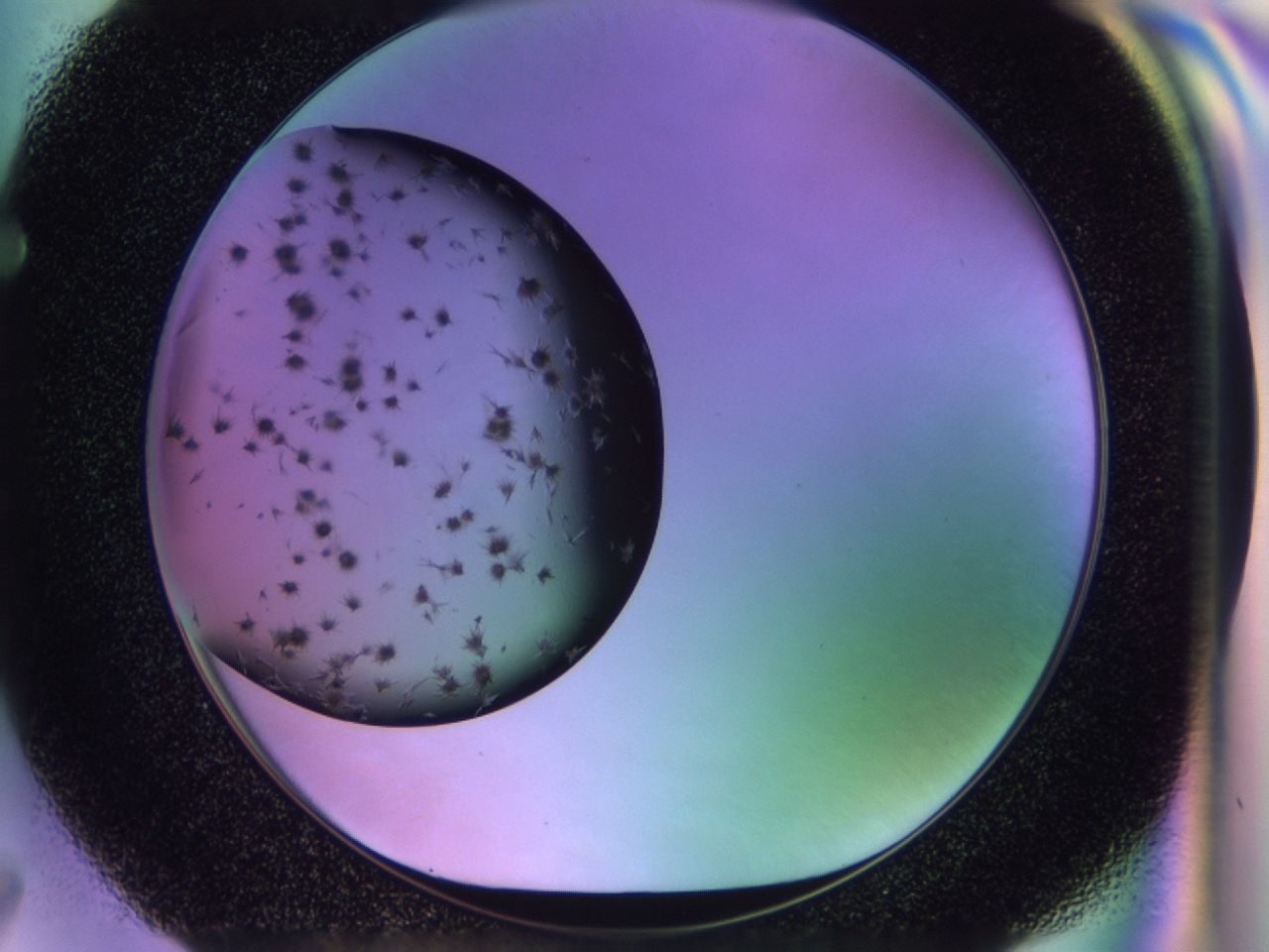 02pw_F7_ImagerDefaults_7.jpg