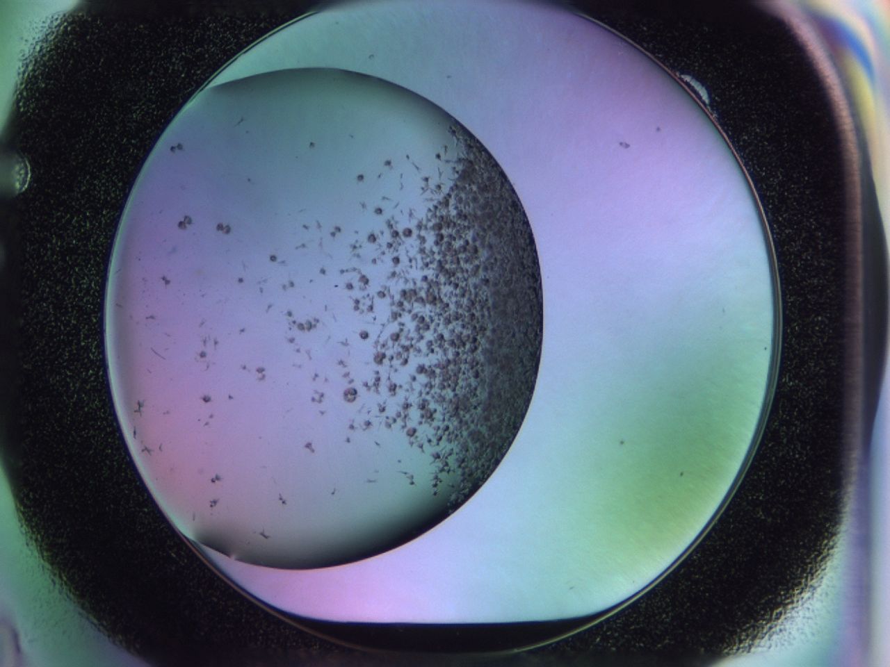 02pw_F9_ImagerDefaults_7.jpg