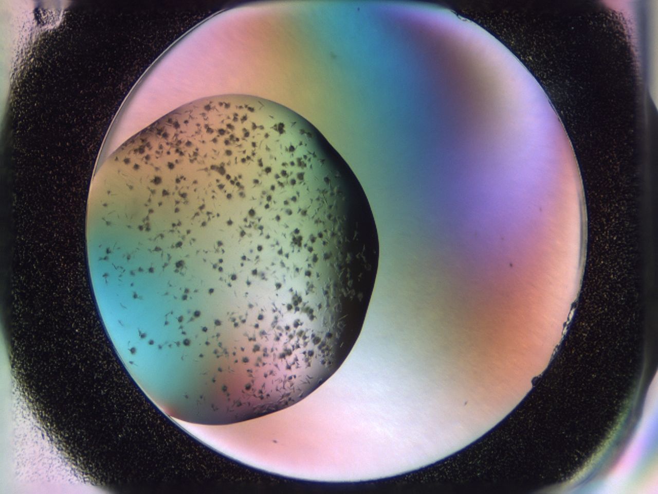 02pw_F11_ImagerDefaults_7.jpg