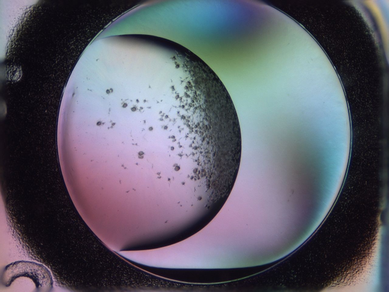 02pw_F12_ImagerDefaults_7.jpg