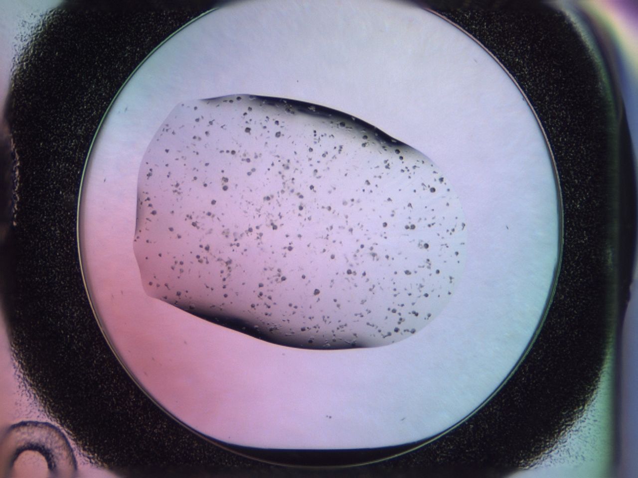 02pw_D10_ImagerDefaults_7.jpg