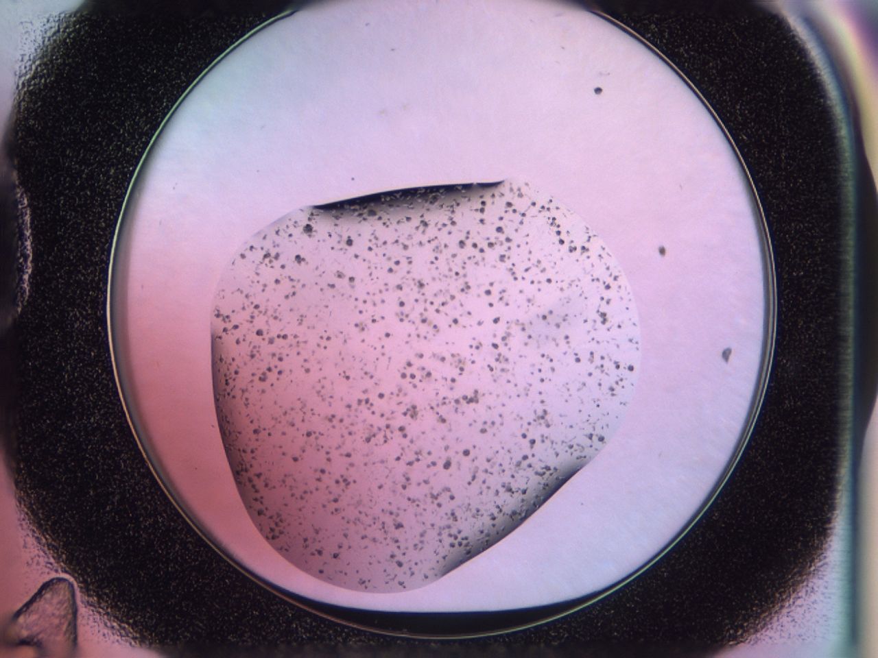02pw_D11_ImagerDefaults_7.jpg