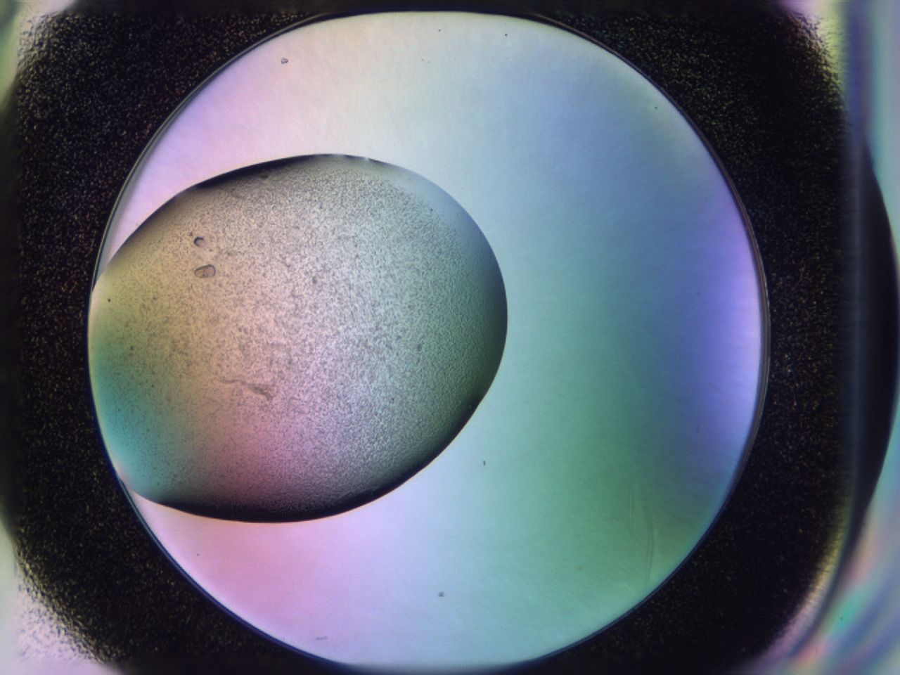 02pw_H6_ImagerDefaults_9.jpg