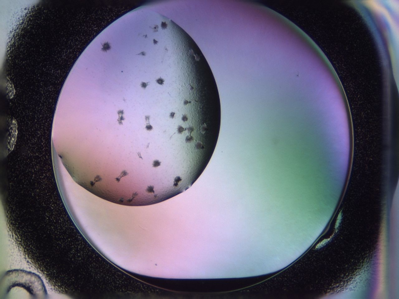 02pw_G10_ImagerDefaults_9.jpg