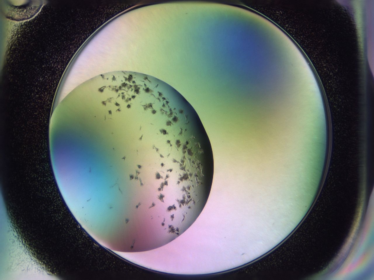 02pw_G10_ImagerDefaults_7.jpg