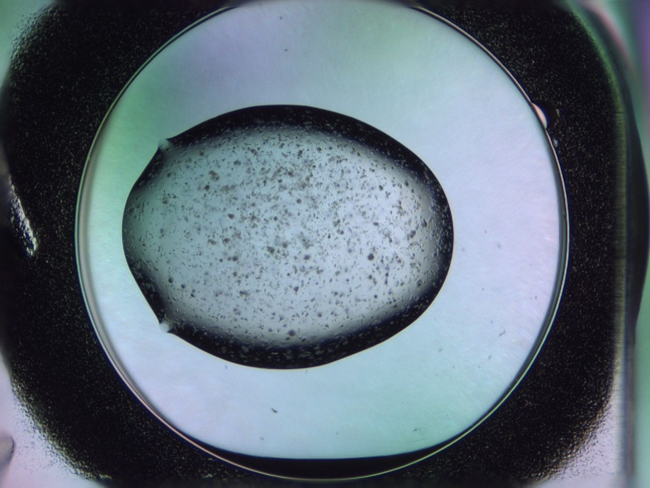 02pw_A7_ImagerDefaults_6.jpg