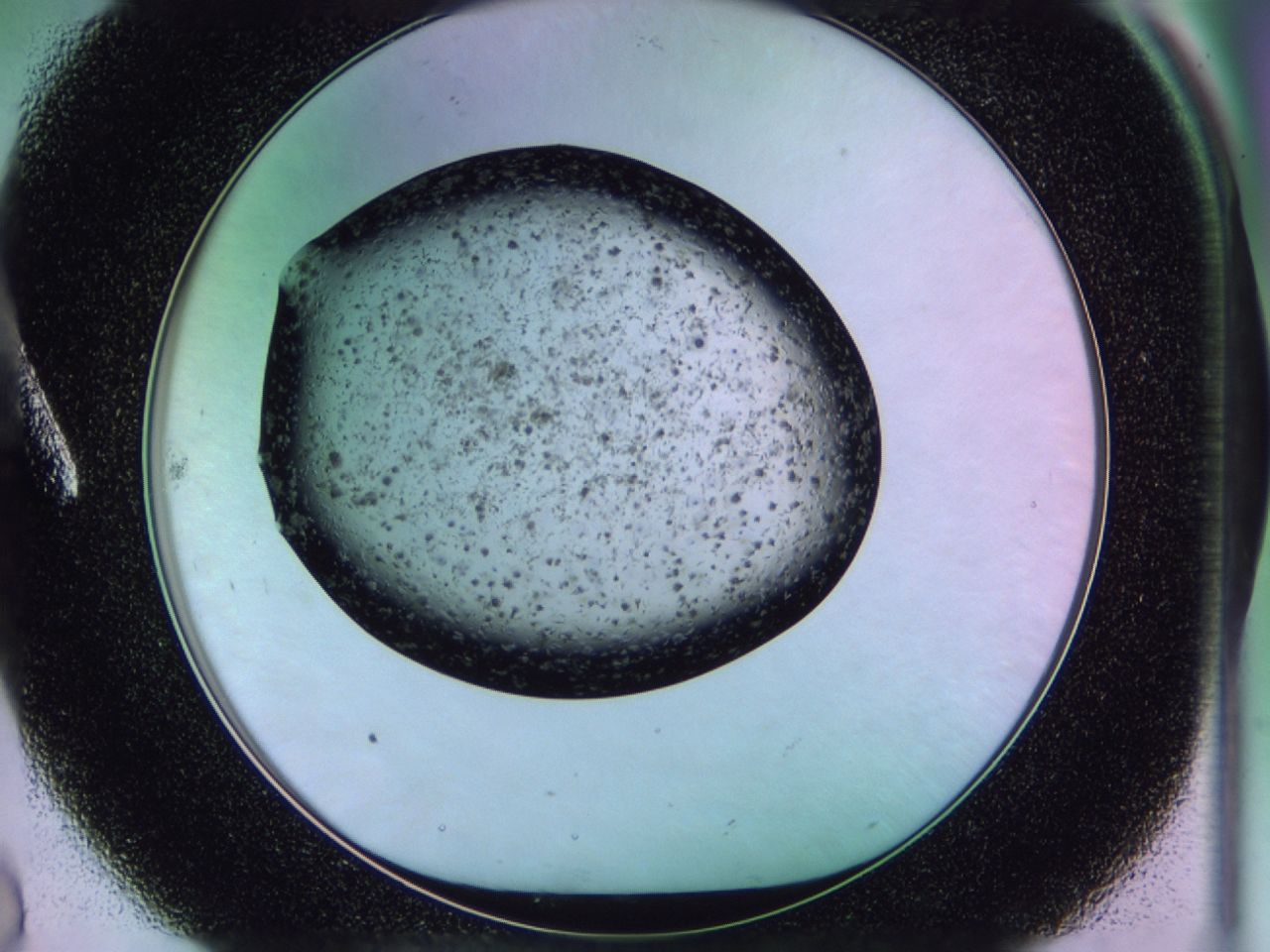 02pw_A8_ImagerDefaults_6.jpg