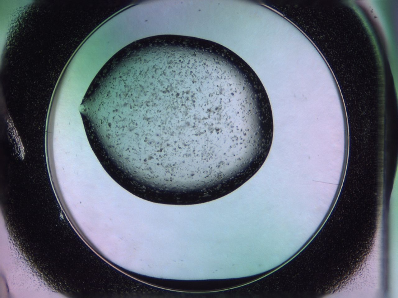 02pw_A9_ImagerDefaults_6.jpg