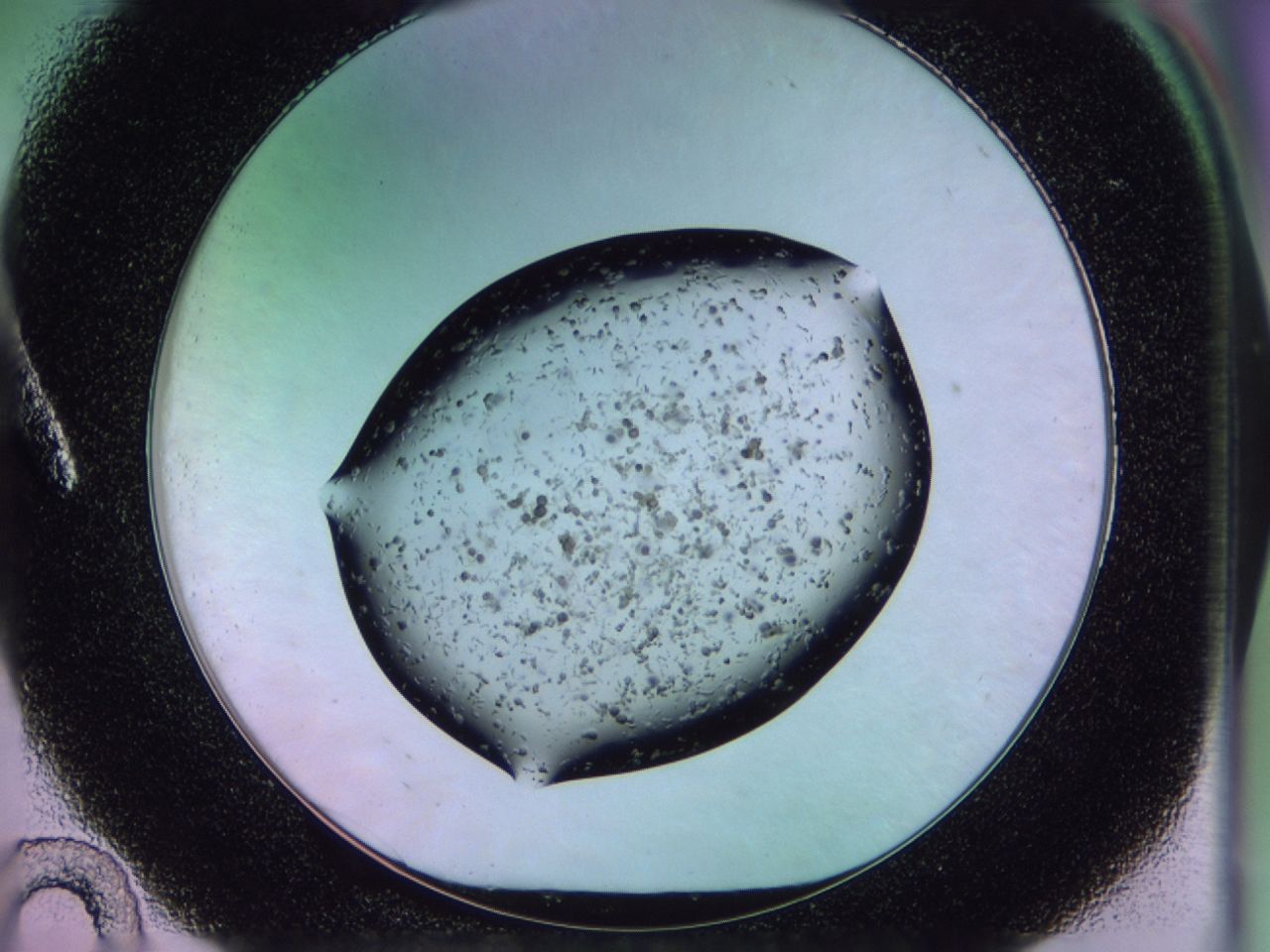 02pw_A10_ImagerDefaults_6.jpg