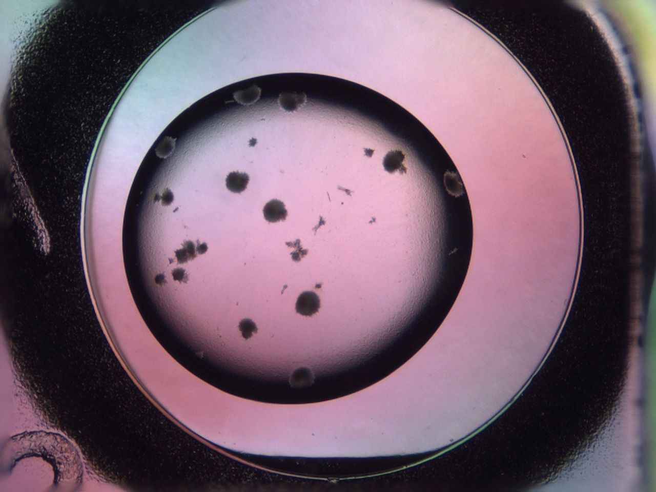 02pw_A12_ImagerDefaults_7.jpg