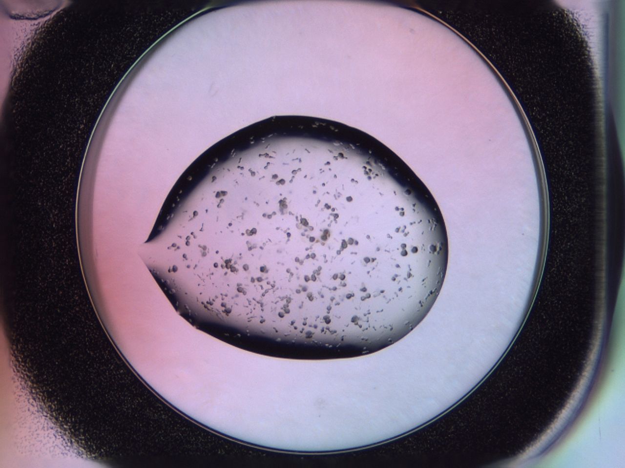 02pw_B10_ImagerDefaults_7.jpg